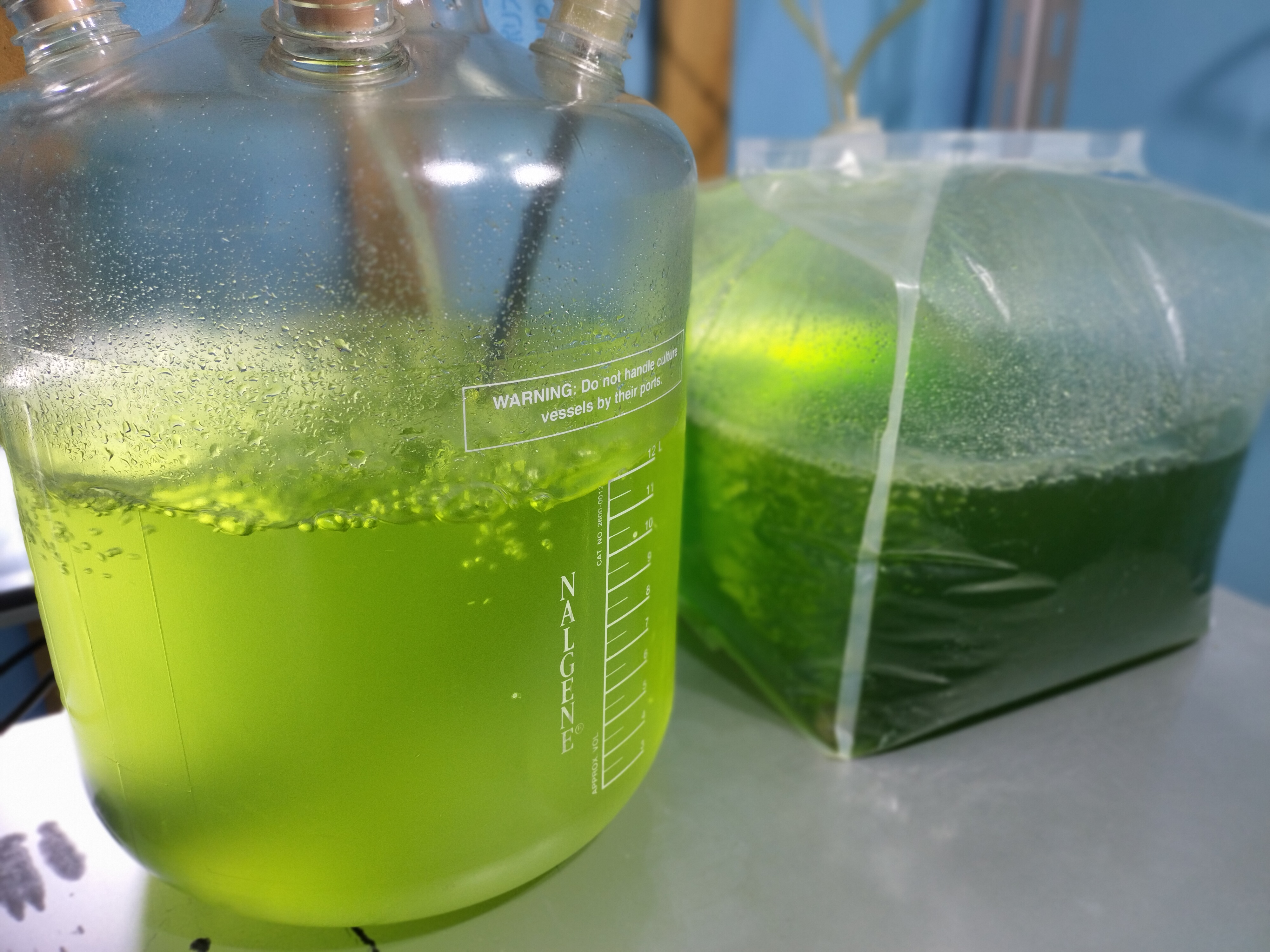 20L エアーリフト培養装置