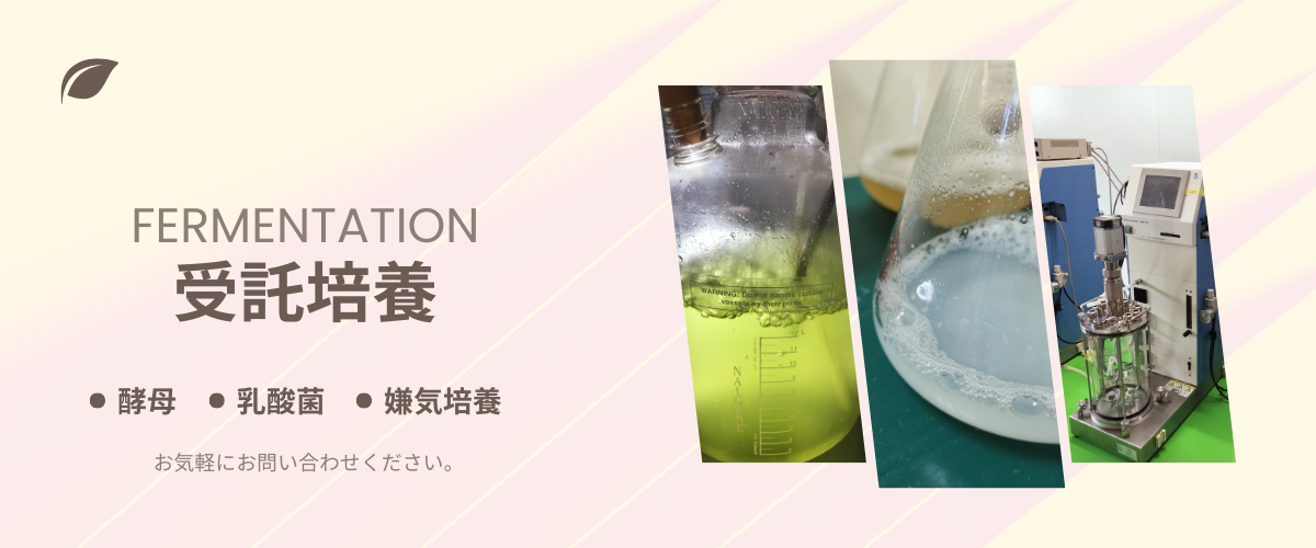 微生物の受託培養